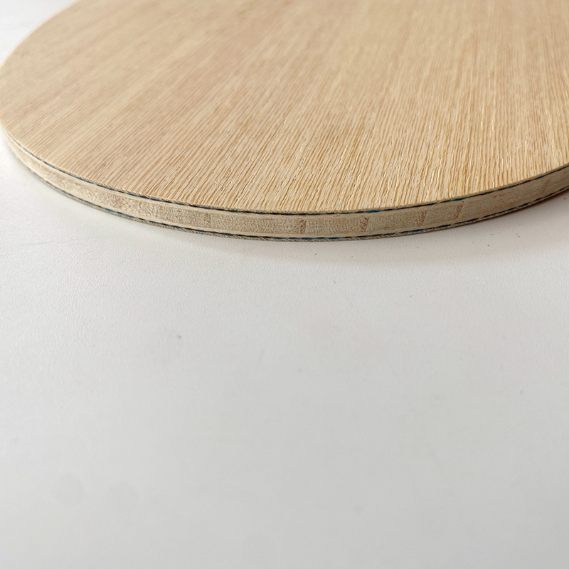 Lemuria VIS Carbon Fiber Tafel - Desk Setup Tips recensie en prijs