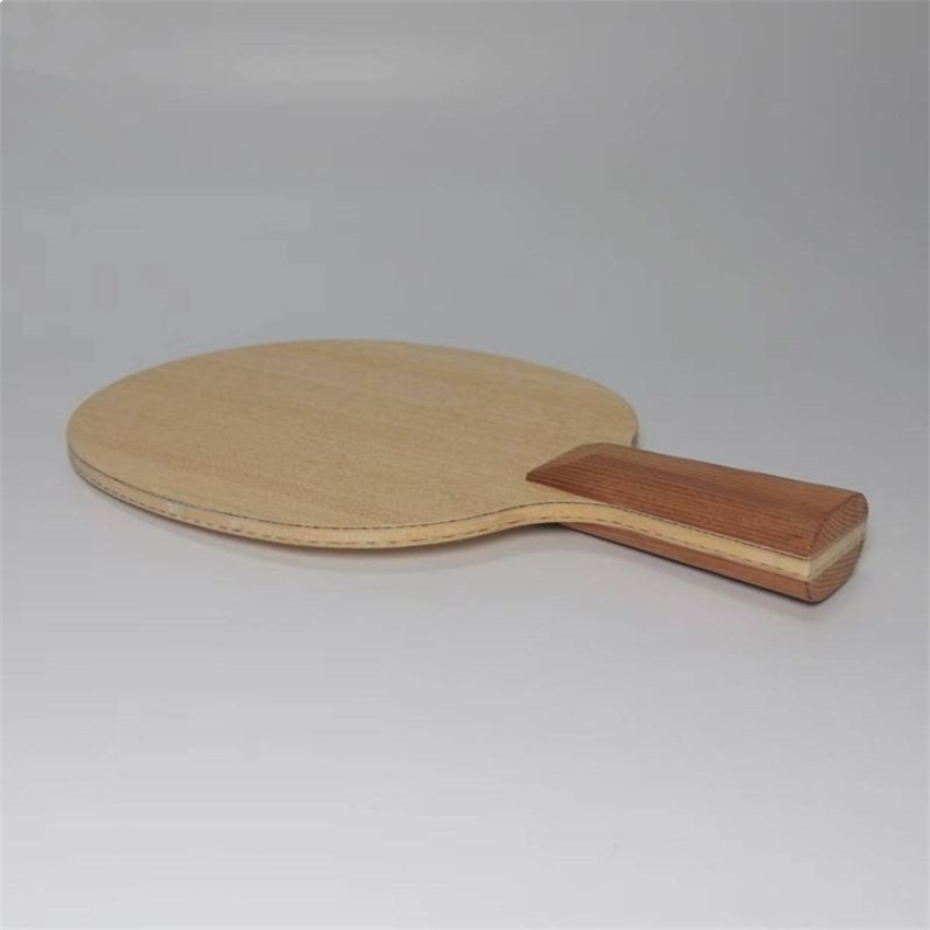 Nieuw Tafeltennisbat Lichtgewi - Desk Setup Tips recensie en prijs